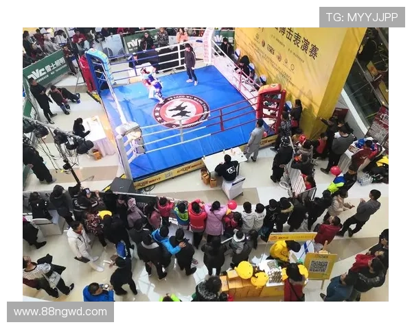 2026年最新自由搏击比赛精彩回顾与赛程安排